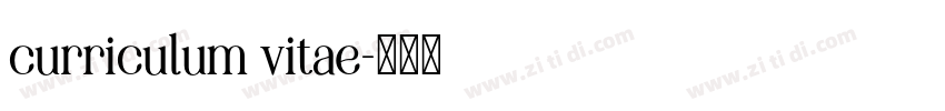 curriculum vitae字体转换